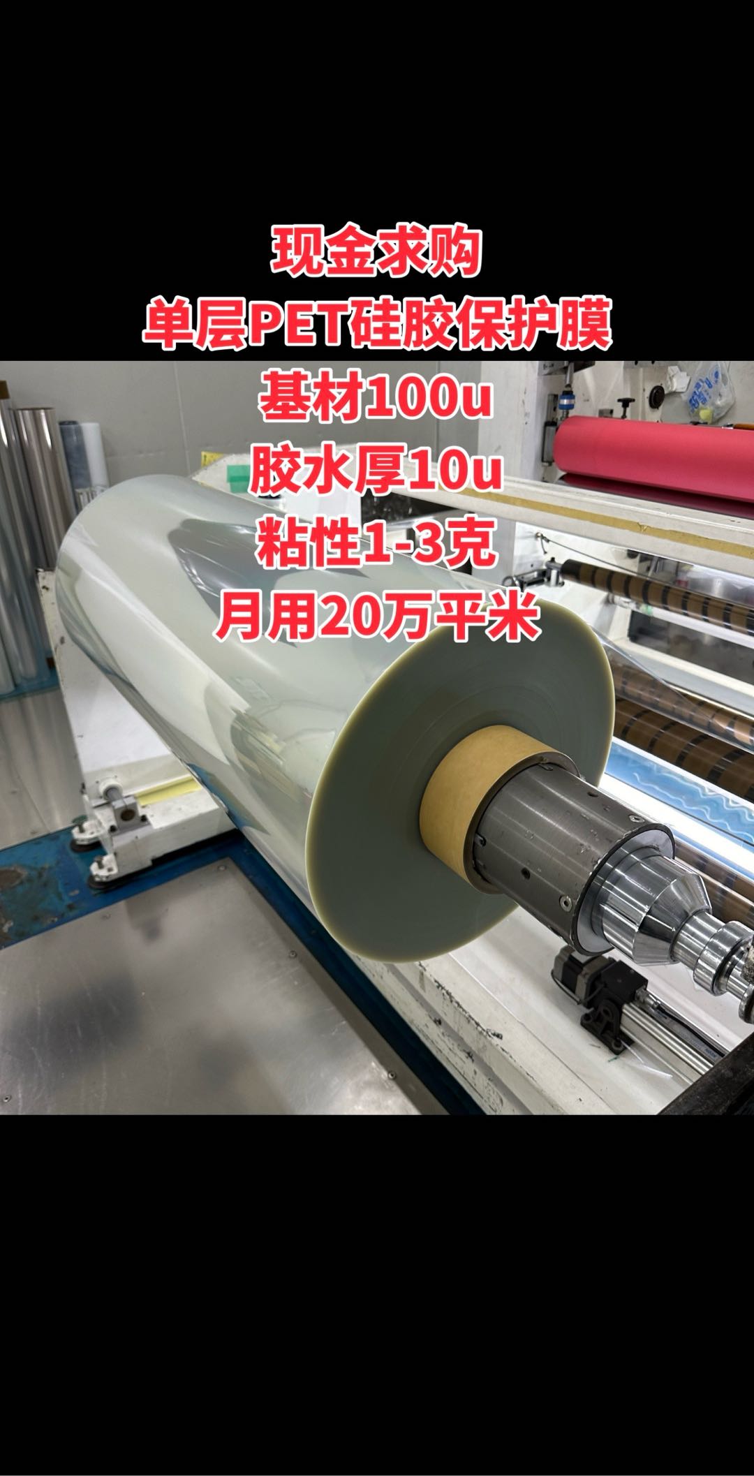 现金求购 单层PET硅胶保护膜 基材100u 胶水厚10u 粘性1-3克 月用20万平米