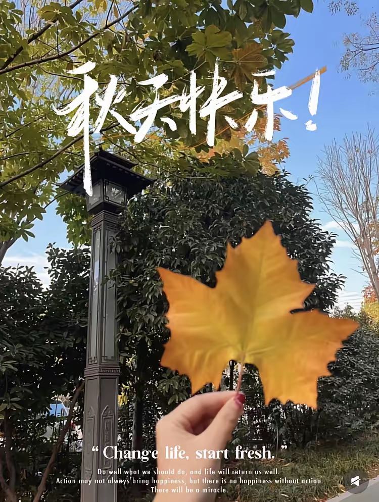 75μ黄色PET实单采购